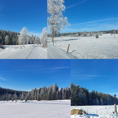 Kvilda! Apartman Terezka Apartment Bagian luar foto